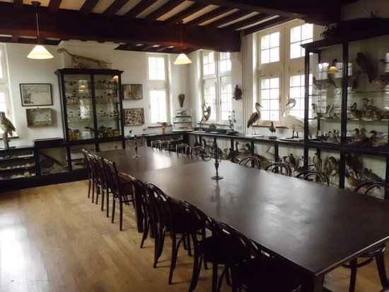 Museo de Historia Natural